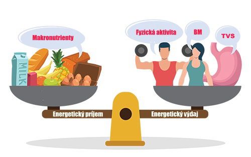 energetická bilancia SK